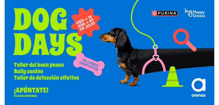 Actualidad celebrar el dia internacional del perro con talleres de adiestramiento 1