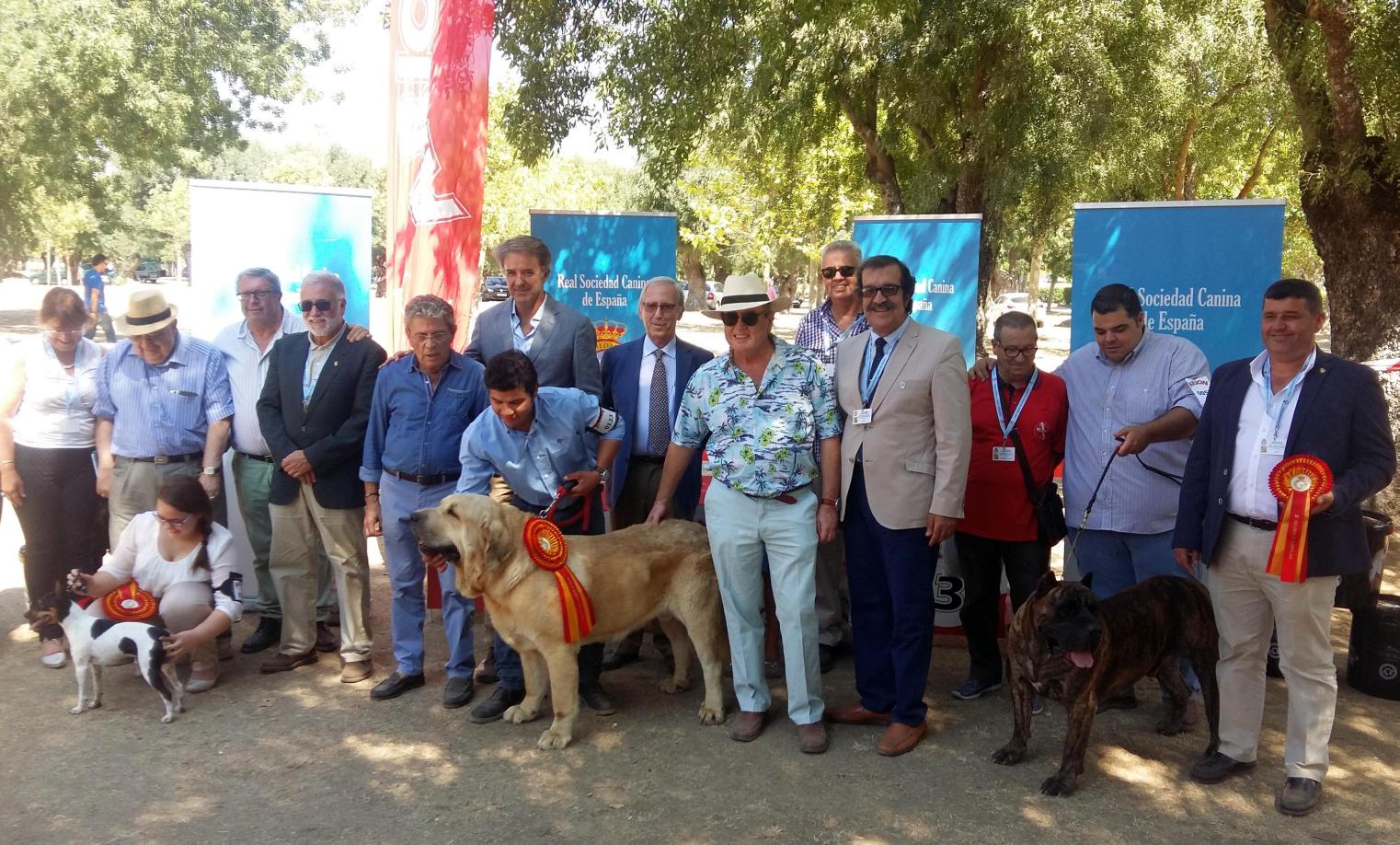 Actualidad exposicion canina nacional rsce 1