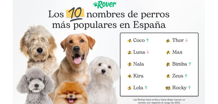 Actualidad coco y luna son los nombres mas populares para los canes espanoles 1