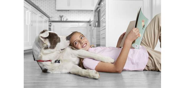 Cómo afecta a las mascotas la vuelta de las vacaciones