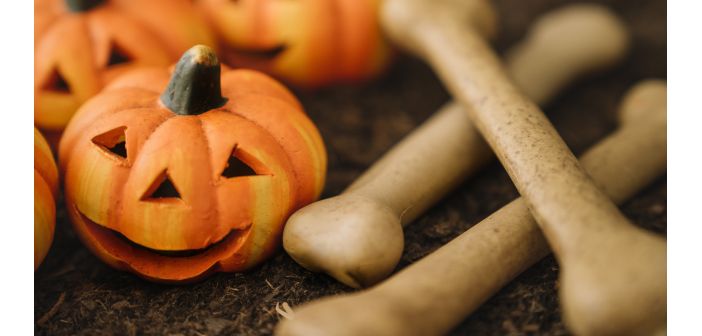 Articulos como aprovechar el auge de halloween para vender mas 1