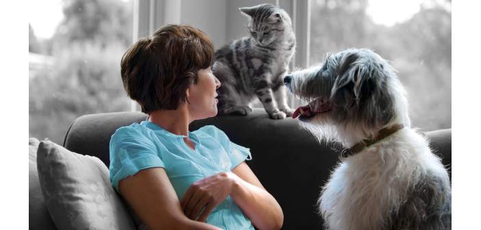 Actualidad como demostrar amor a una mascota 1