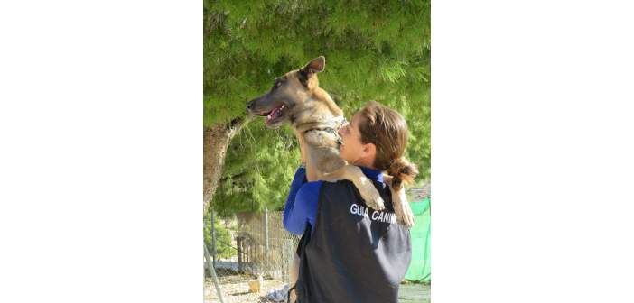 “Convivir con un perro implica usar un lenguaje común y saber guiarle para tomar buenas decisiones”