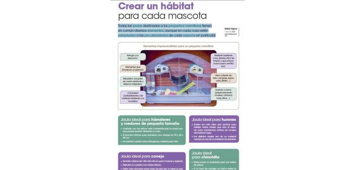 Crear un hábitat para pequeñas mascotas