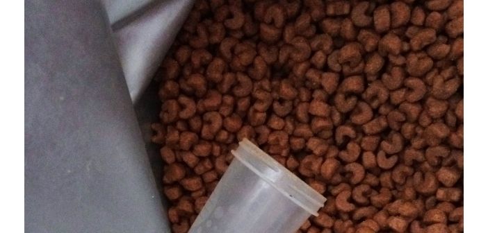 Crecimiento del mercado de alimentos para mascotas en Italia