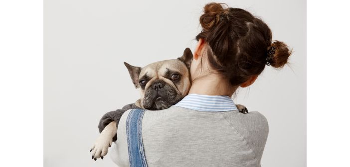 Actualidad cuales son las motivaciones para incluir un perro en el hogar 1