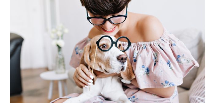 Articulos cuidado con la sobre humanizacion de los perros 1