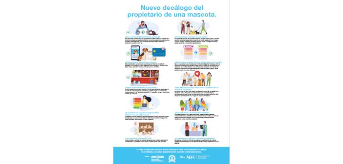 Decálogo para el propietario de mascotas para comprender la ley de bienestar