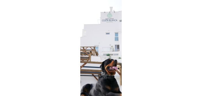 Actualidad dormio resort costa blanca un espacio petfriendly para disfrutar en familia 1