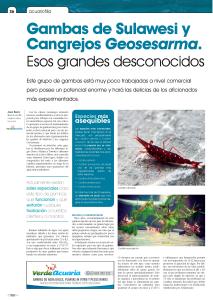 Actualidad especiespro 187 julio agosto 2015 ya online 1