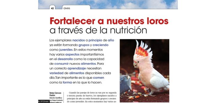 EspeciesPro septiembre, ya online, te ofrece herramientas para tu día a día