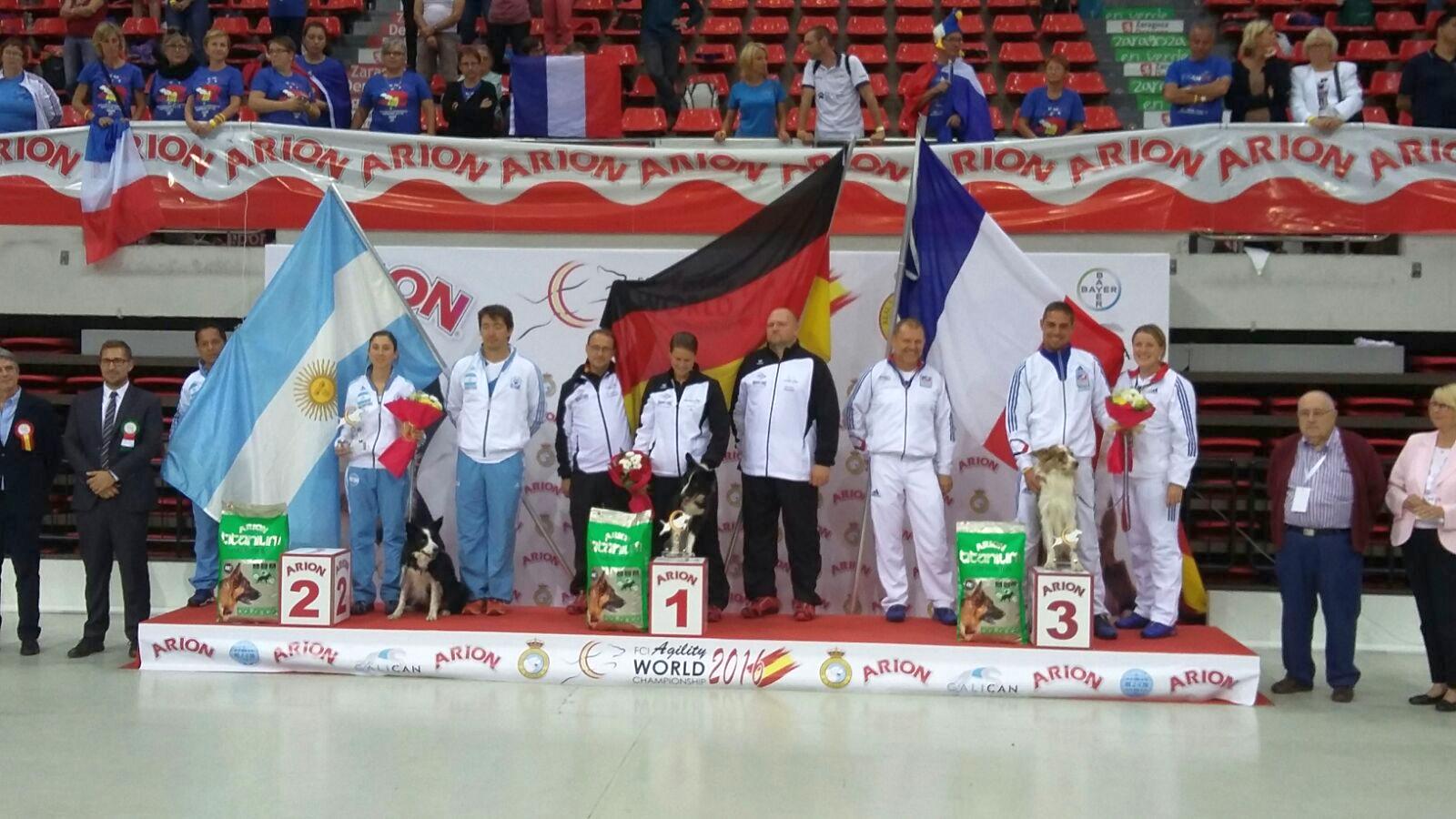 Actualidad mundial de agility 2016 1