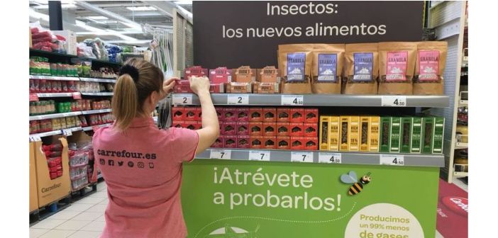 Articulos insectos el alimento del futuro 1