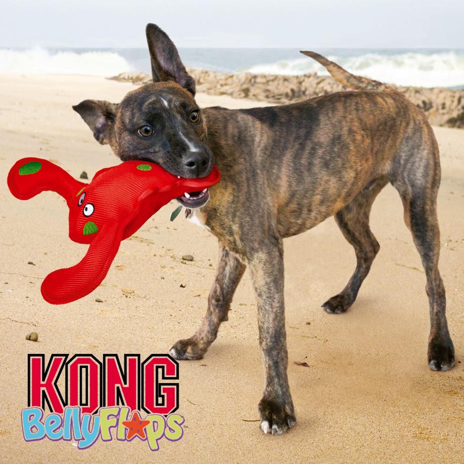 Kong Belly Flops