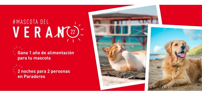 Actualidad la mejor foto de gato y perro del verano 1