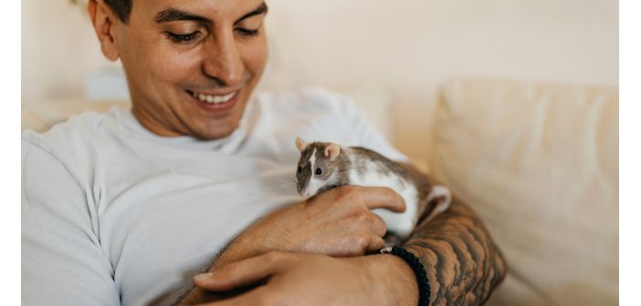 Articulos la rata nombrada mascota del ano 2025 en alemania 1