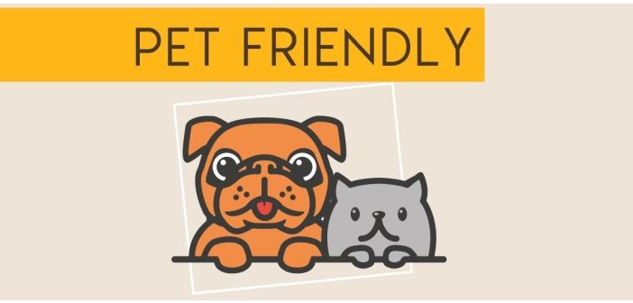 Actualidad las galerias de los centros comerciales carrefour ya son petfriendly 1