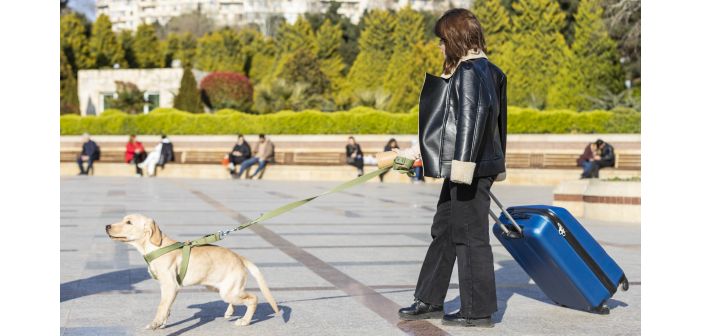 Las mejores ciudades para la vida perruna
