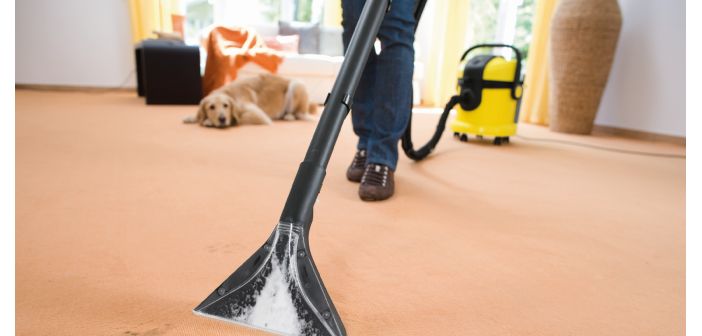 Articulos los 6 tips de limpieza imprescindibles para un hogar con mascotas 1