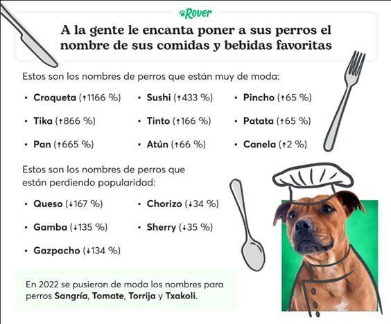 Actualidad los nombre mas populares de perro en 2022 1
