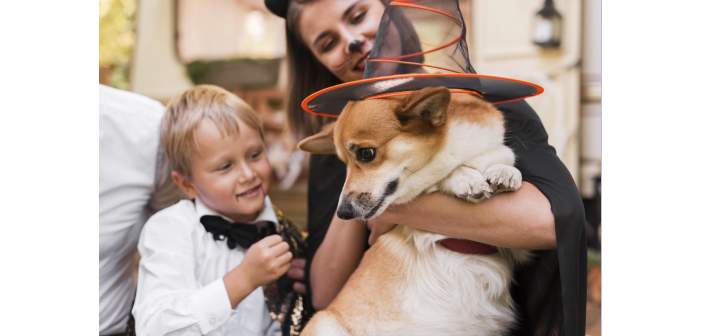 Los peligros de Halloween para las mascotas