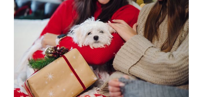 Actualidad menos mascotas pero mayor gasto en estados unidos 1