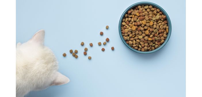Articulos comercio pronostico de los 10 principales mercados de alimentos para mascotas 1