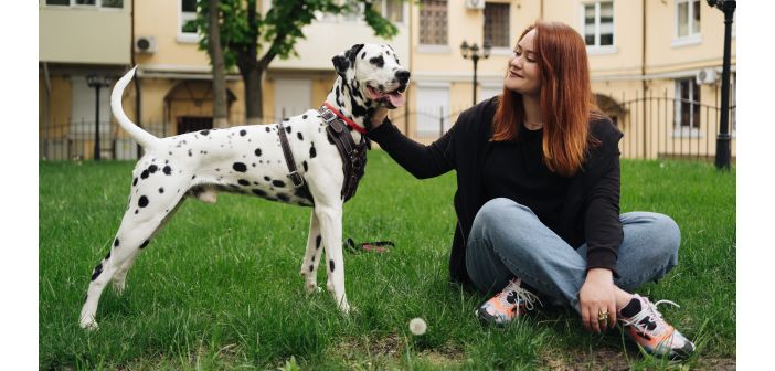 Razas caninas más expuestas a los efectos nocivos del sol