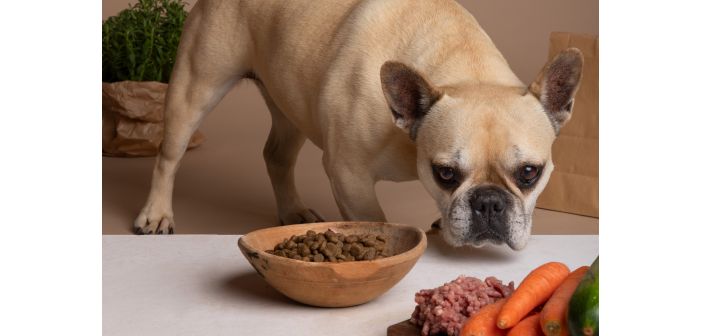 ¿Riesgo de Salmonella en alimentos para mascotas?