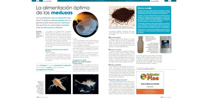 Todo sobre la obesidad y mucho más en EspeciesPro octubre