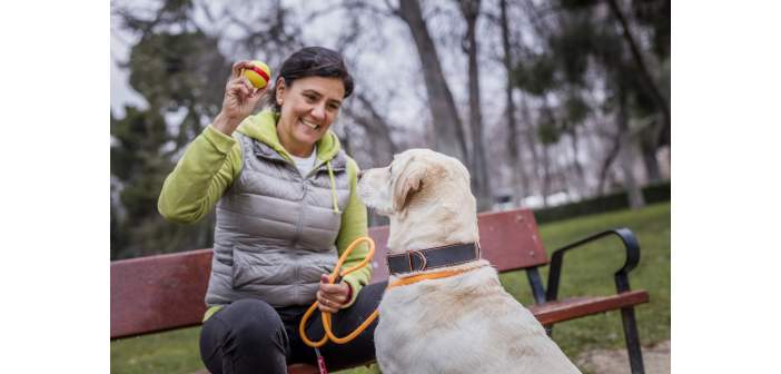 Tres claves para detectar si perros y gatos sufren diabetes