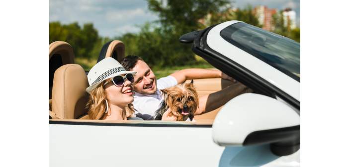 Viajar con la mascota este verano
