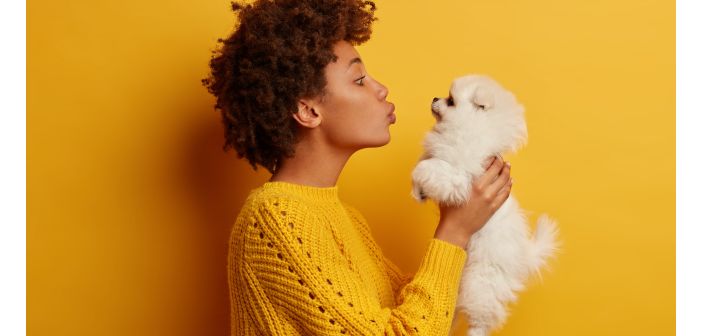 Yellow Day, un día para celebrar