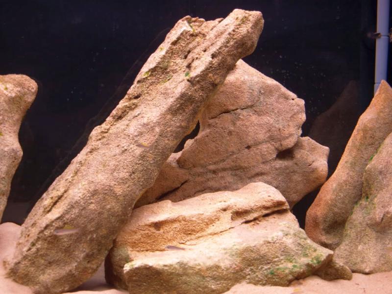 decoración del acuario: piedras, rocas, troncos, raíces, fondos suelos
