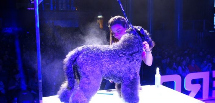 Madrid acoge el mayor <em>show</em> de peluquería canina del mundo