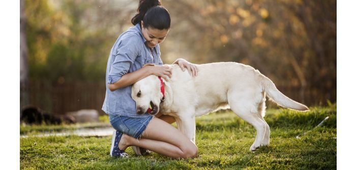 Un respiro para dueños y perros con la ayuda voluntaria