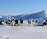 Desafío Ártico 2024: la expedición contra el cambio climático
