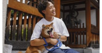 Transformación en el ámbito de las mascotas en Singapur y Corea del Sur